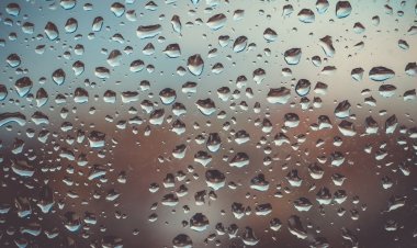 ବାଧିଲା ଜାଣି