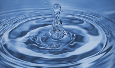 ପ୍ରତ୍ୟୟ