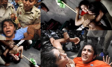 ସଂସଦରେ ଗଣତନ୍ତ୍ରର ପ୍ରବଚନ, ସଂସଦ ବାହାରେ ଖେଳାଳୀଙ୍କୁ ପ୍ରହାର