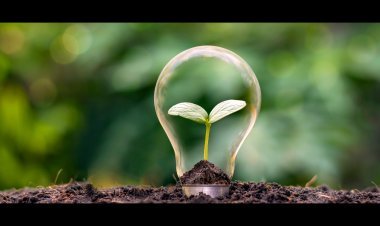 ପୃଥିବୀ କାନ୍ଦେ