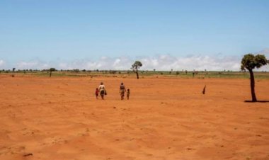 ଜଙ୍ଗଲ ବଞ୍ଚିଲେ ଆମେ ବଞ୍ଚିବା -୨