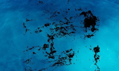 ପ୍ରତି ଛକରେ ଶବଗଦା