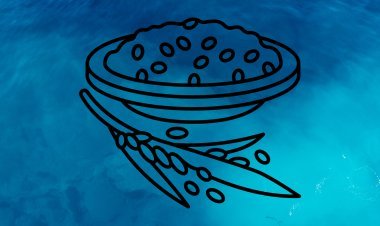 ଭାତ ଥାଳି