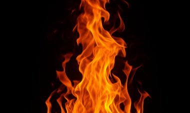 ଆହା...... କାହିଁକି ବୁଝି ପାରିଲୁ ନାହିଁ?