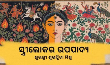 ସ୍ତ୍ରୀଲୋକର ଉପପାଦ୍ୟ