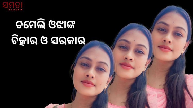 ଚମେଲି ଓଝାଙ୍କ ଚିତ୍କାର ଓ ସରକାର